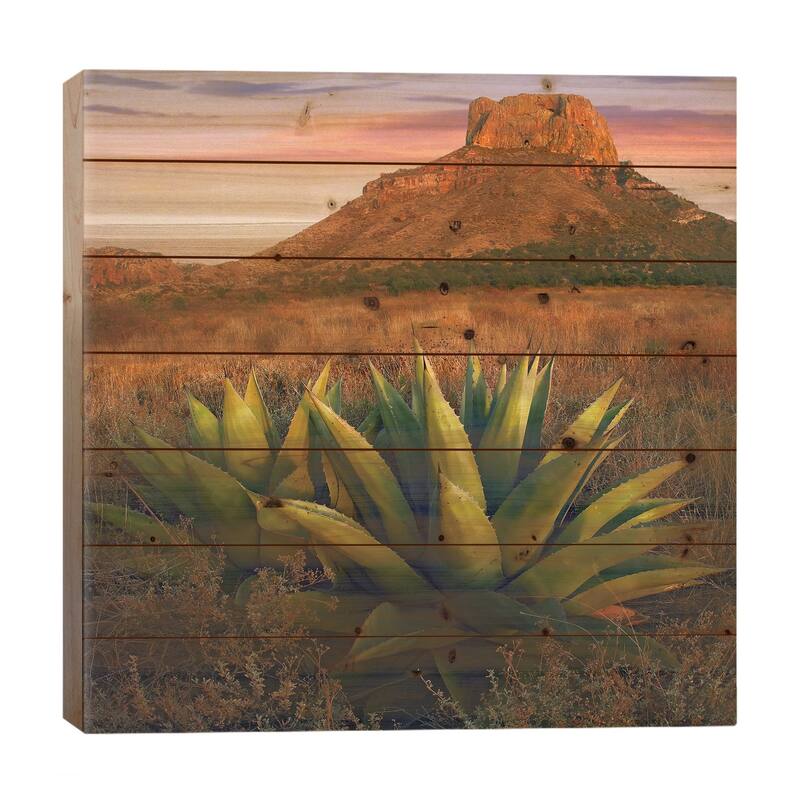 Casa Grande Butte With Agave In Foreground, Big Bend National Park, Texas Print On Wood by Tim Fitzharris - Multi-Color - 26x26x1.5