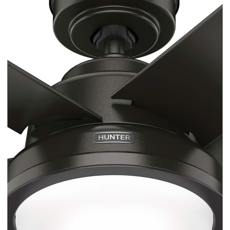 Hunter 52" Seawall Outdoor Ceiling Fan with LED Light Kit, Wall Control - Wet Rated!