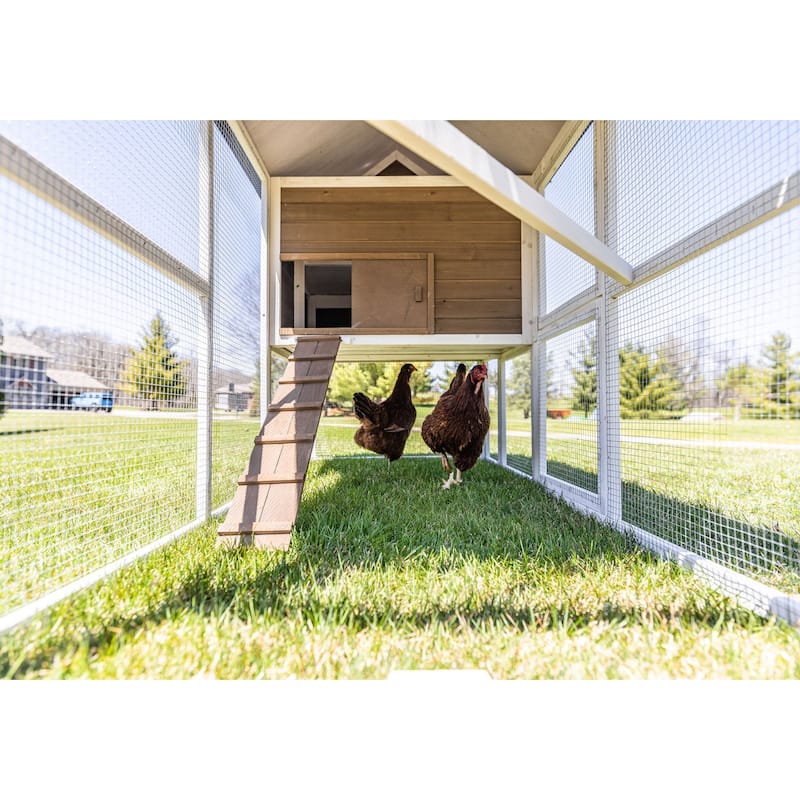 Zylina Superior Hen House