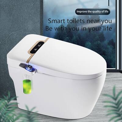 Elongated Toilet with Advanced Bidet Seat, Smart Toilet with Temperature Controlled Wash Functions and Air Dryer