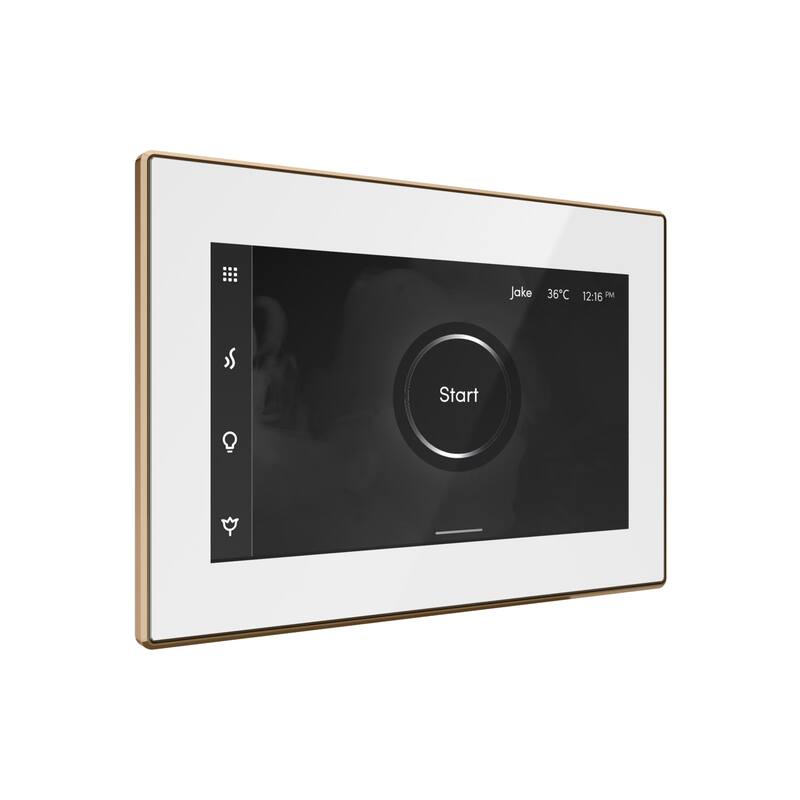 Mr Steam ISX Isteamx Steam Shower Control and Steamhead