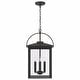 preview thumbnail 4 of 2, Bryson 4-light Black Outdoor Hanging Pendant w/ Clear Glass