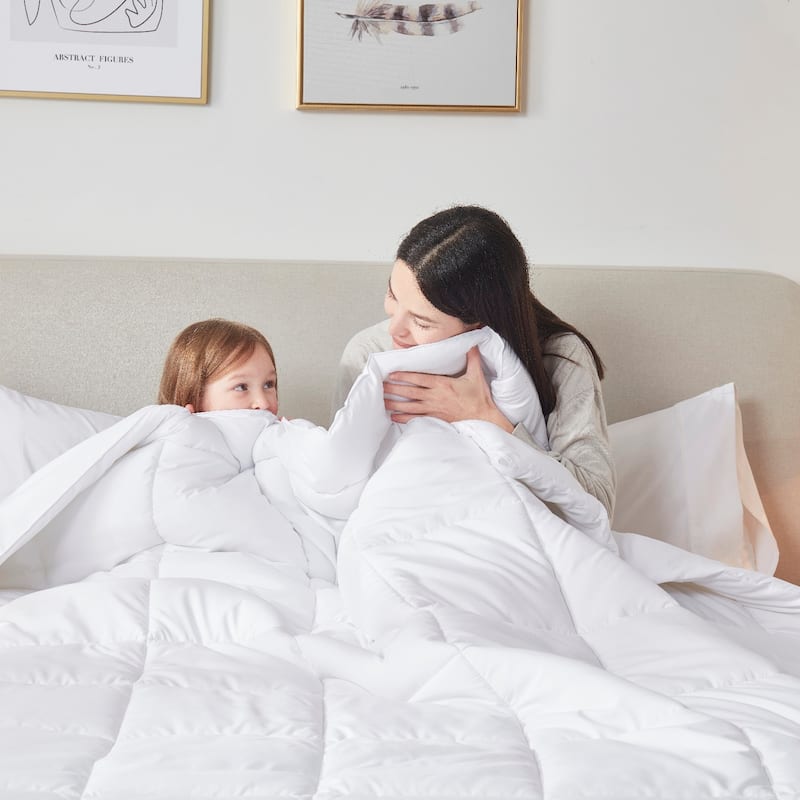 Empyrean All Season Lightweight Down Alternative Comforter