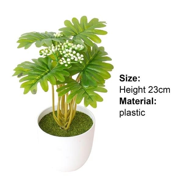 plastik bonsai Plastic Pots for Bonsai Nursery Stock – Kaizen Bonsai