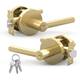 Option Satin brass