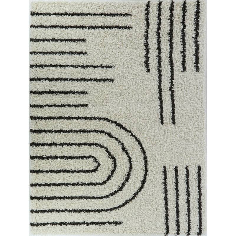 Janus Contemporary Berber Shag Area Rug