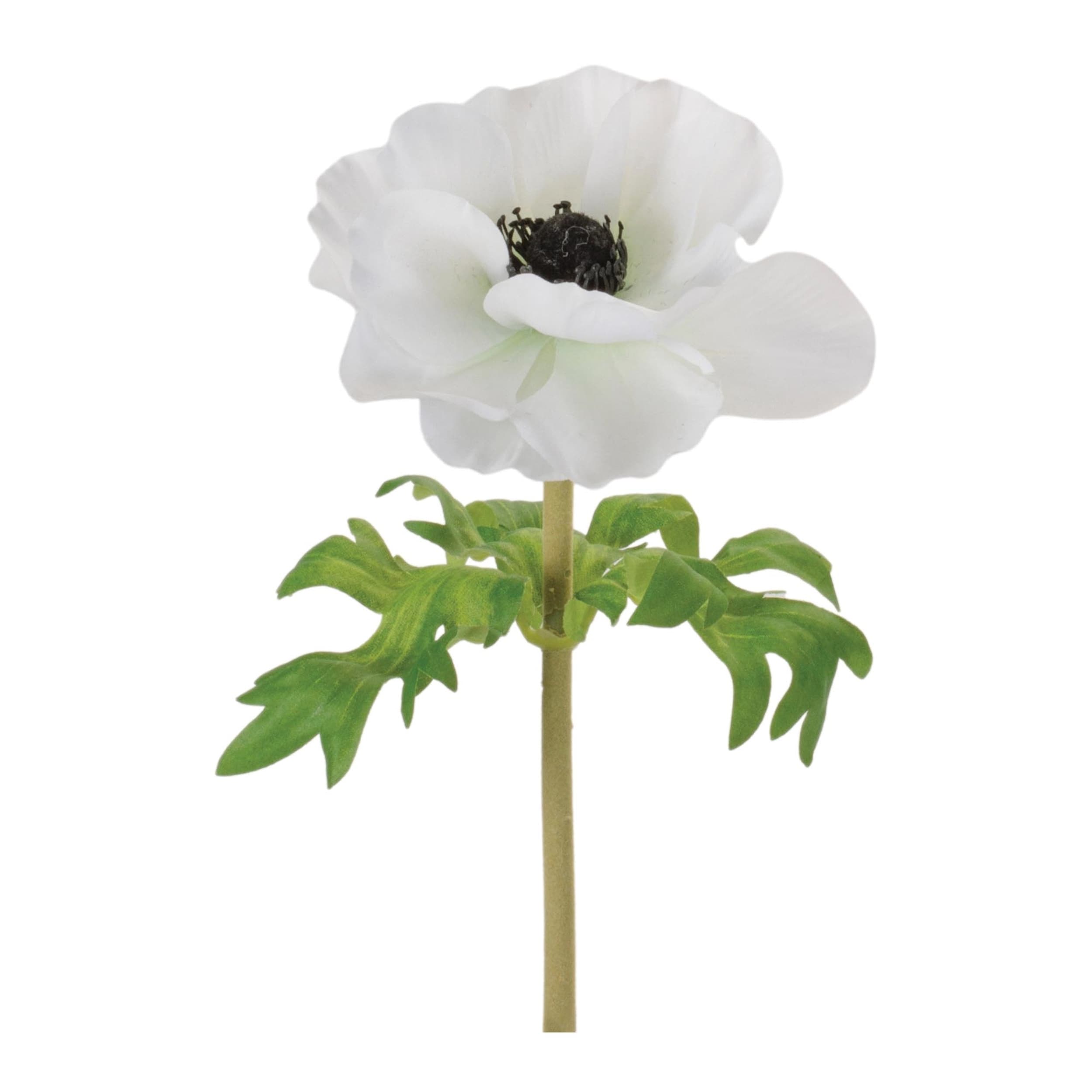 Anemone Floral Stem (Set of 6) - Bed Bath & Beyond - 44090269
