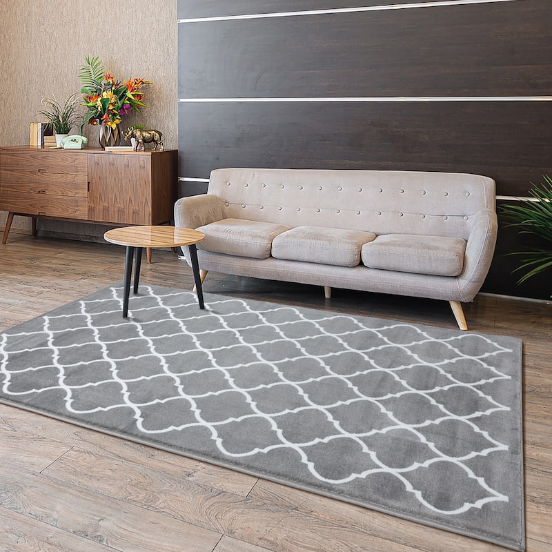 SUSSEXHOME Area Rugs Modern Desing for Living Room 4 x 6 Gray/White - 4' x 6'