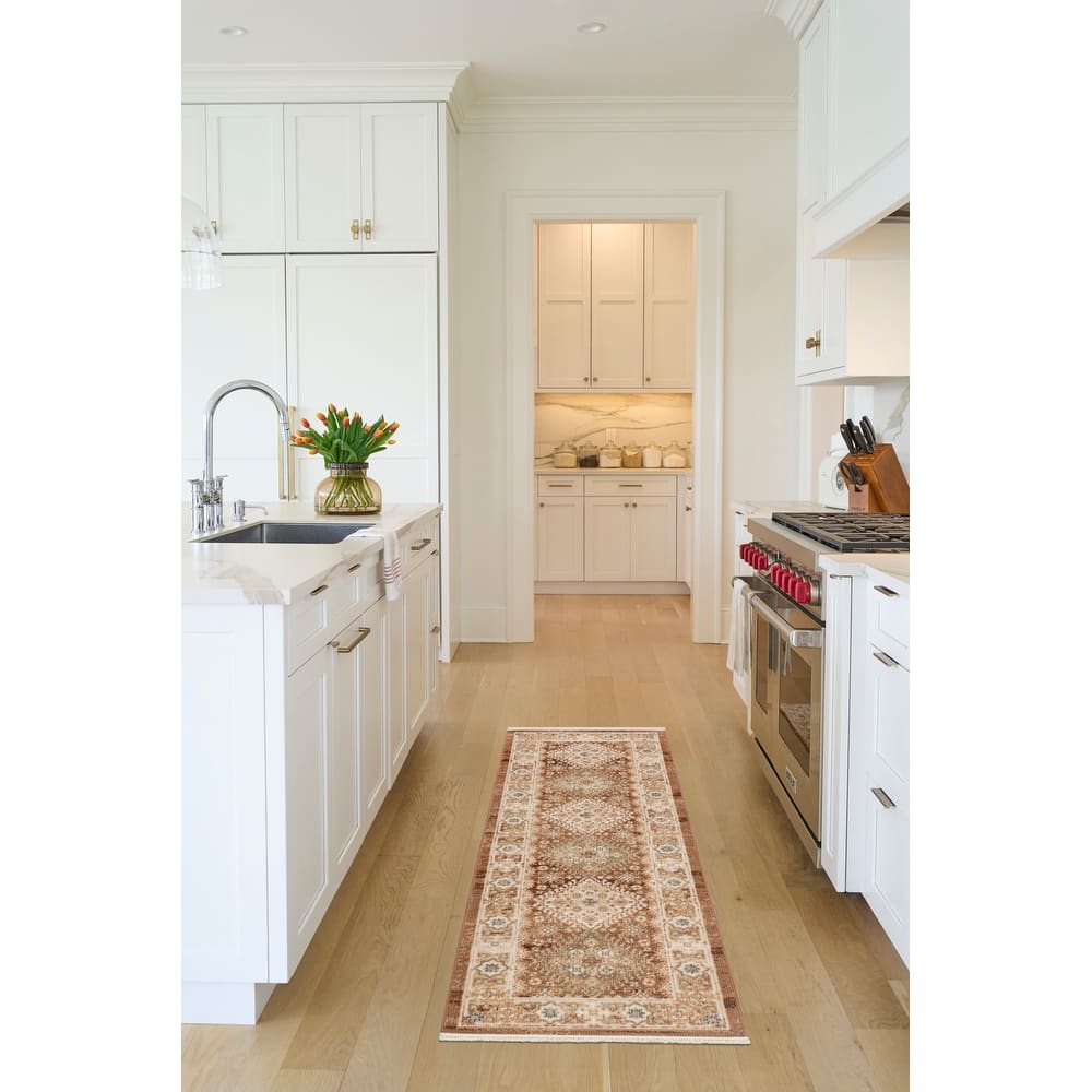 Nourison Pardis Indoor only Brown Persian Area Rug