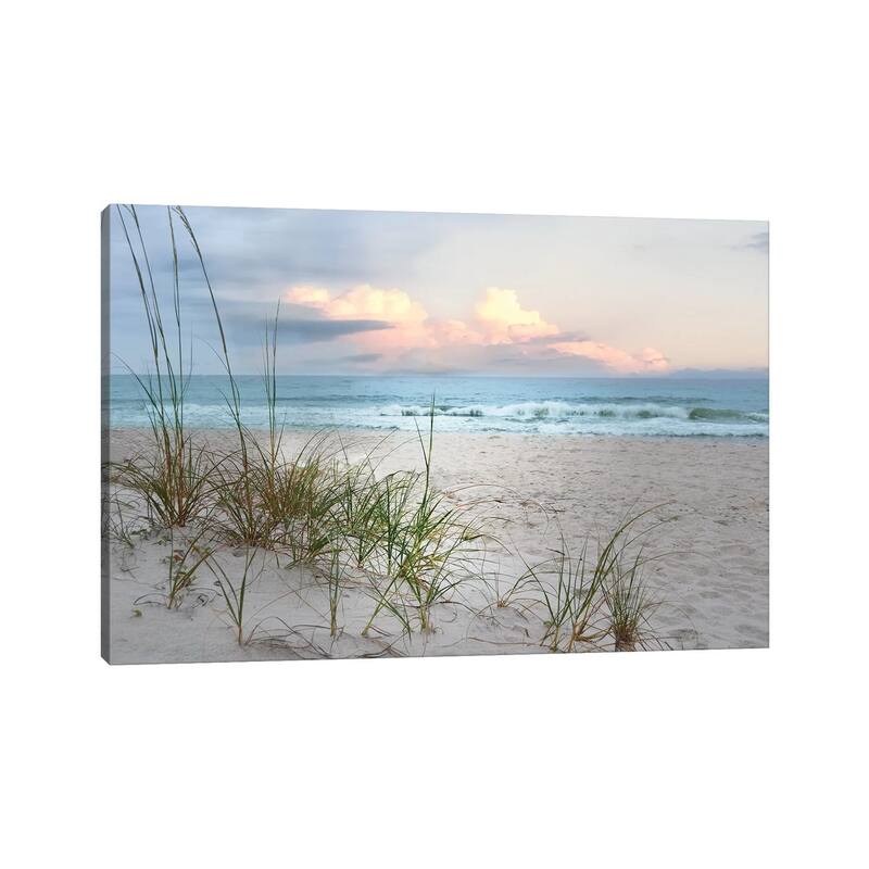 iCanvas "Beach Driftwood" by Nan Canvas Print