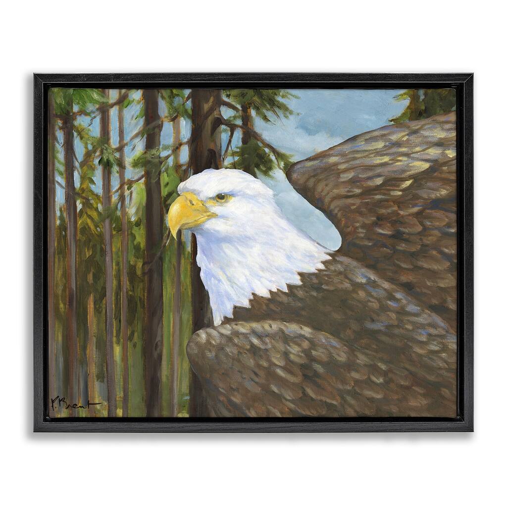 Stupell Woodland Eagle's View Framed Floater Canvas Wall Art Design By Paul Brent
