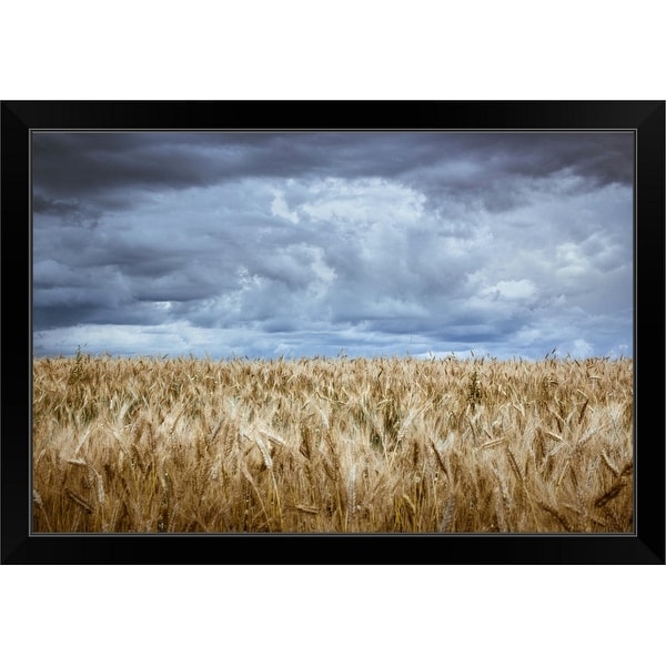 "Stormy sky over wheat field with long exposure" Black Framed Print