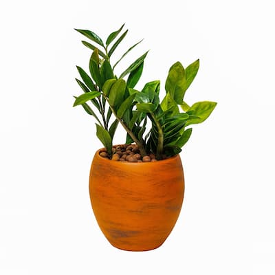 DTY Signature Smart Self-watering Round Planter Pot for Indoor and Outdoor