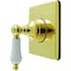 Option Polished Brass