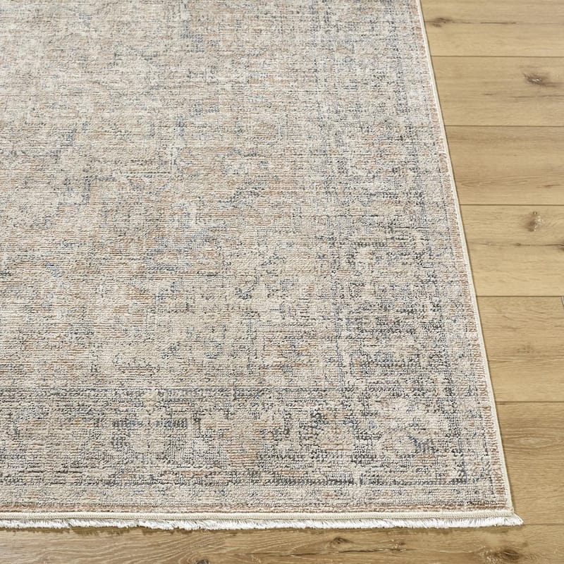 Galey Alix x Livabliss Maria Elena III Vintage Medallion Area Rug - 2'7" x 7'3" - Brown