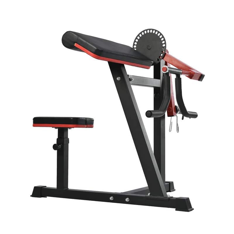 2-in-1 Arm Exercise Machine with Adjustable Seat, Extension Home Gym ...
