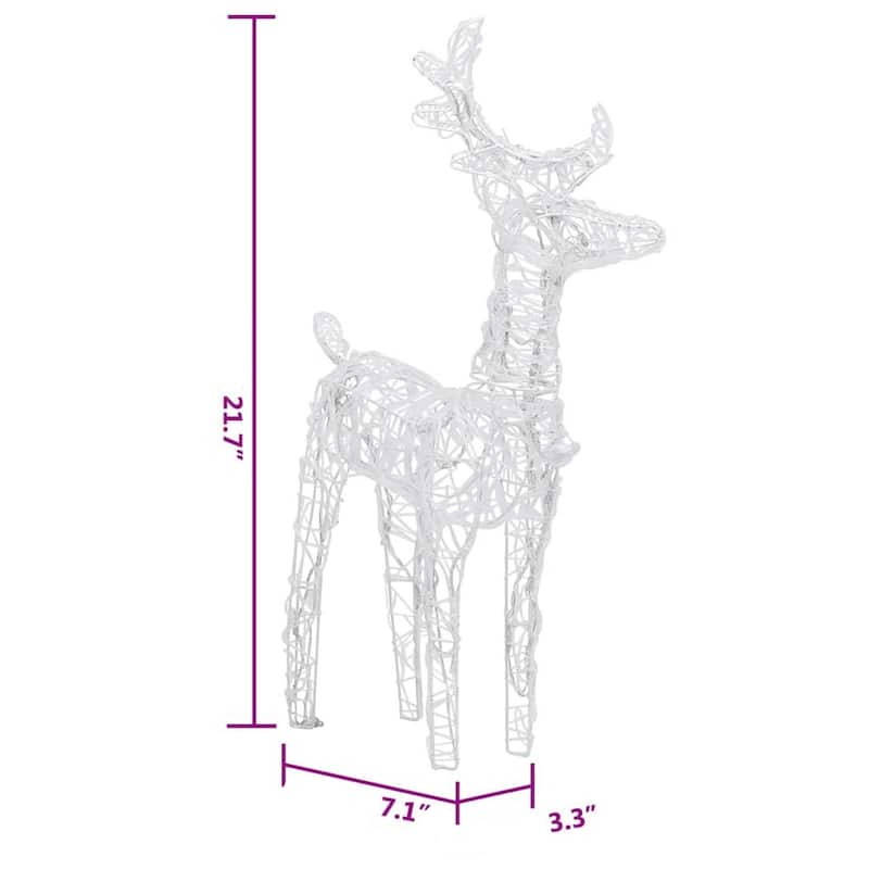 Set of 2 Christmas Reindeer, Acrylic and 40 Warm White LED Lights - Warm White