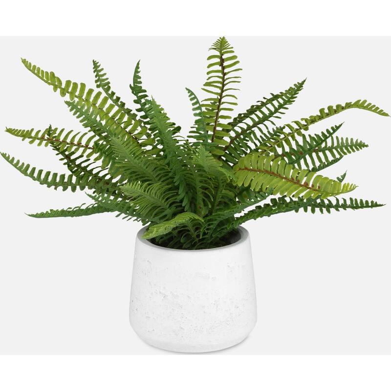 Uttermost 60238 Boston Fern 14" Tall Ceramic Faux Flora Planter