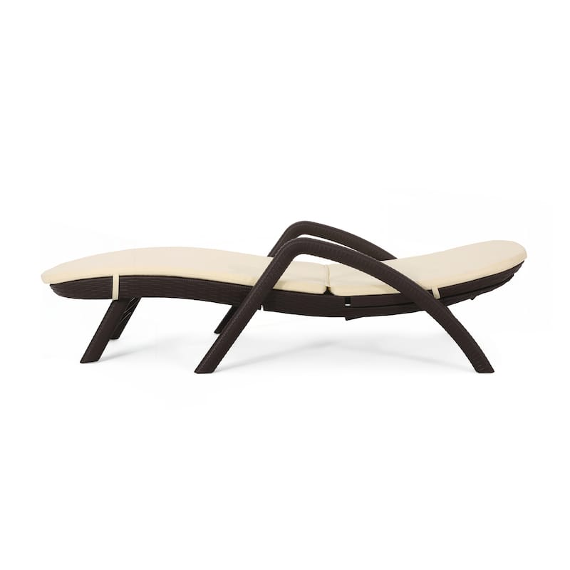 Premium All-Weather Chaise Lounge