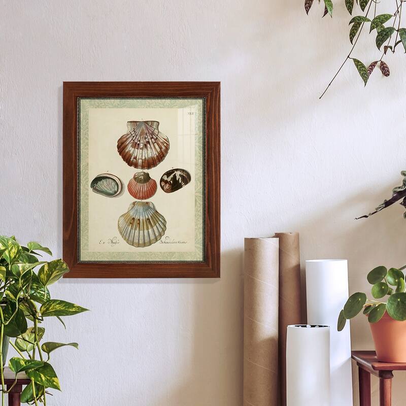 Bookplate Shells III -Framed Print w/glass-Cherry Red