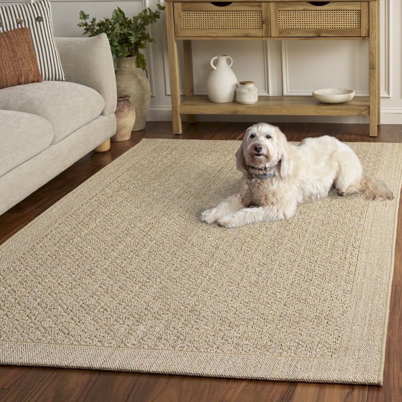 SAFAVIEH, Palm Beach Clevie Modern Sisal Rug