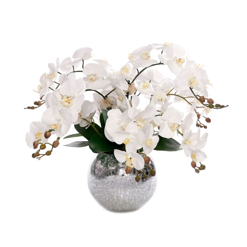 Real Touch Phalaenopsis Orchids in Sliver Glass Ball - White