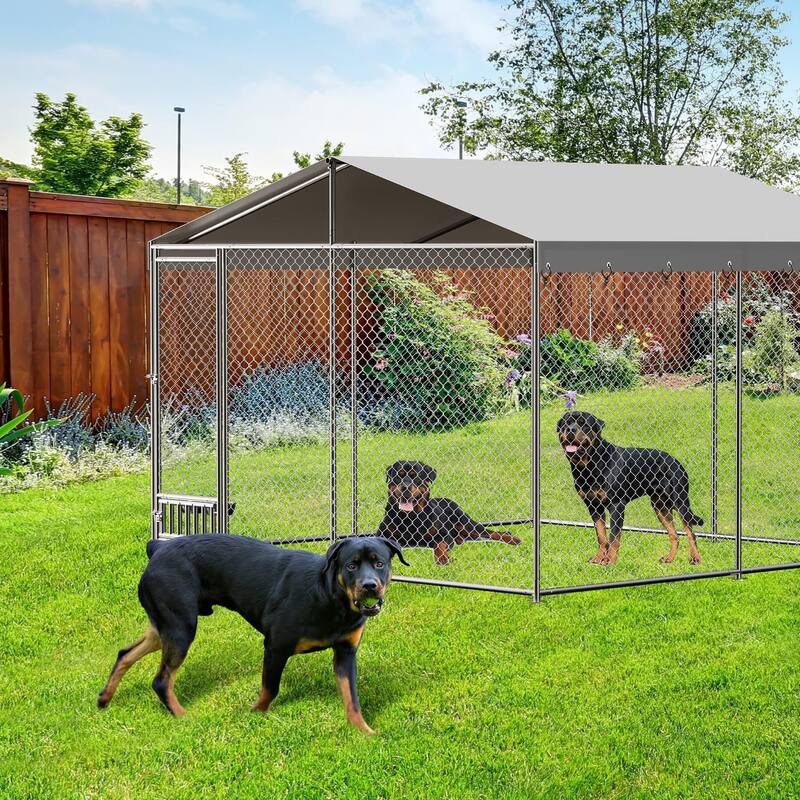Dog Kennel Outdoor with Waterproof Canopy
