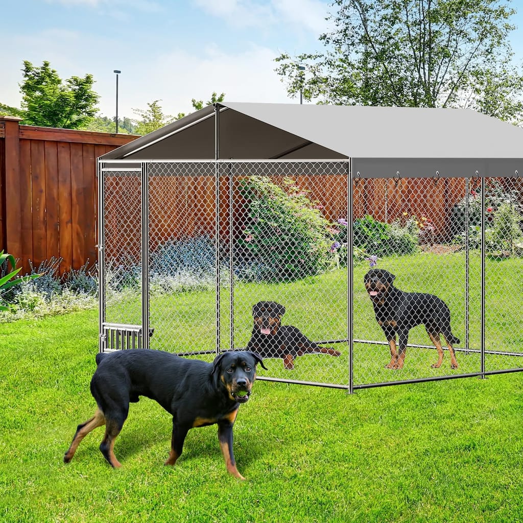 Dog Kennel Outdoor with Waterproof Canopy