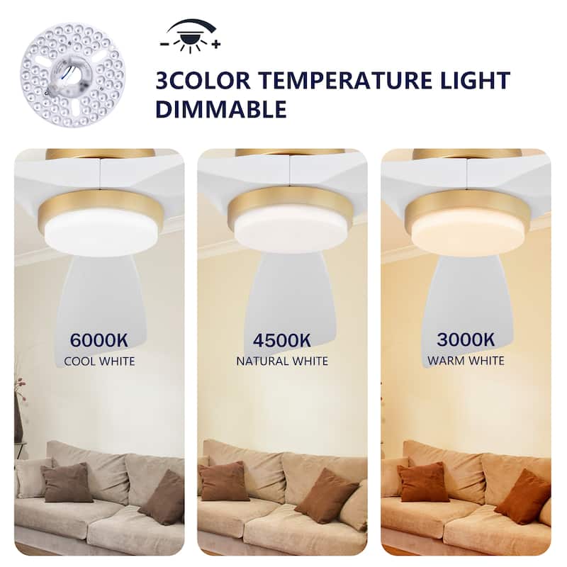 52 Inch Indoor Ceiling Fan With Dimmable LED Light 3 Solid Wood Blades Remote Control Reversible DC Motor - Gold+White