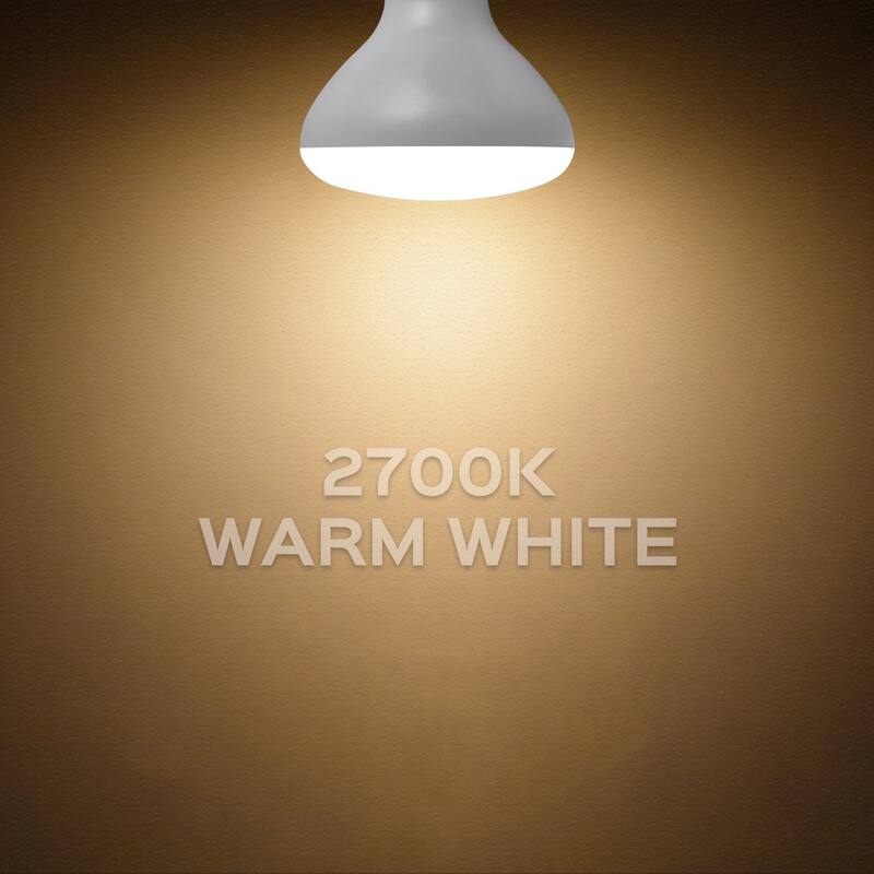 Luxrite BR30 LED Flood Light Bulb Dimmable 650 Lumens 9W=65W E26 Base Energy Star UL Listed Damp Rated 12-Pack