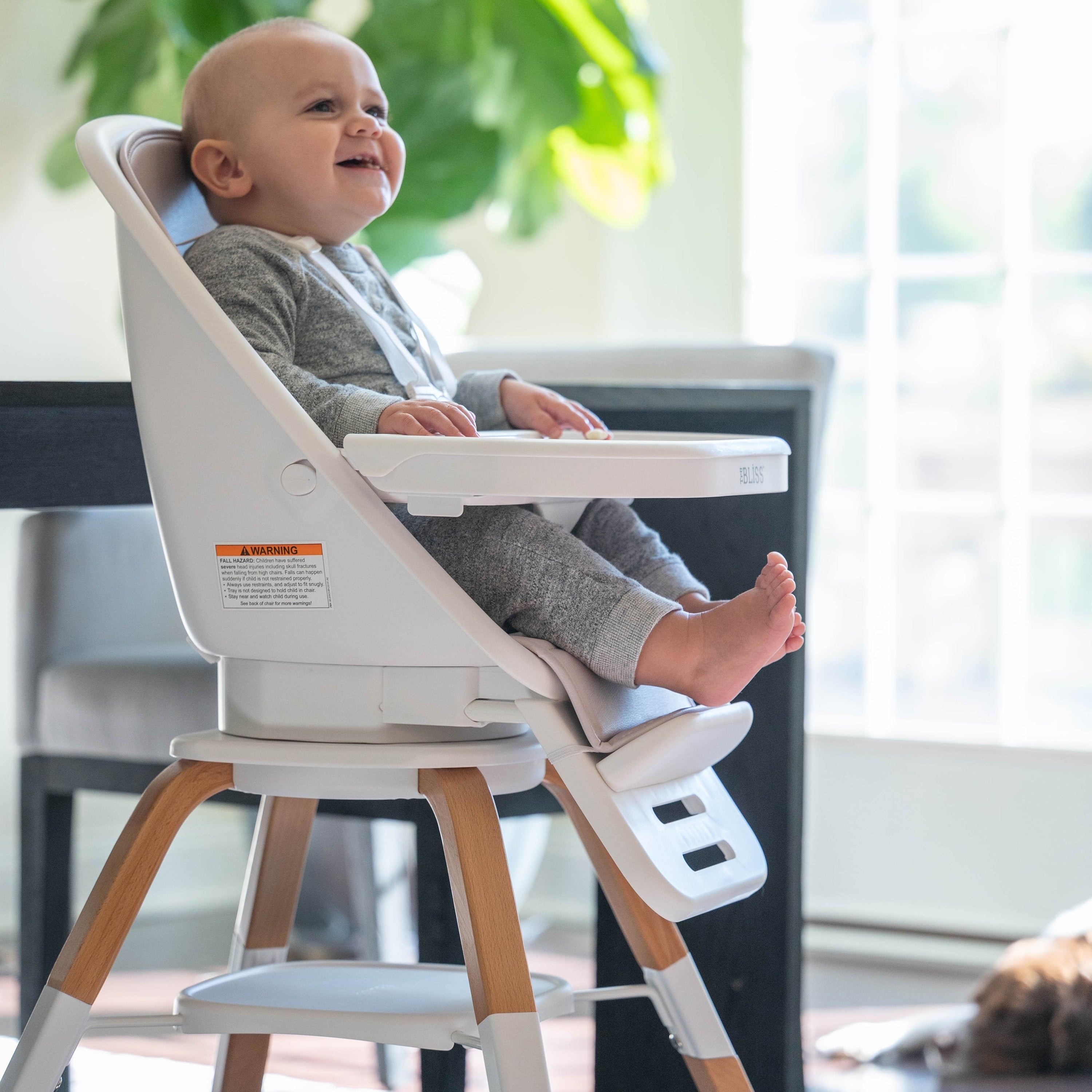 TruBliss 2-in-1 Turn-A-Tot High Chair with 360 Swivel