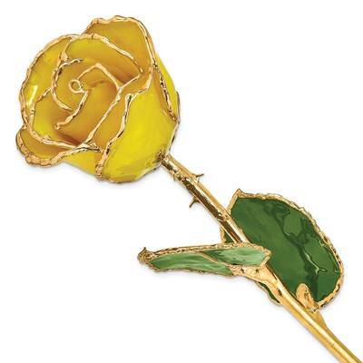 Curata Lacquer Dipped Gold Trimmed Yellow Real Rose