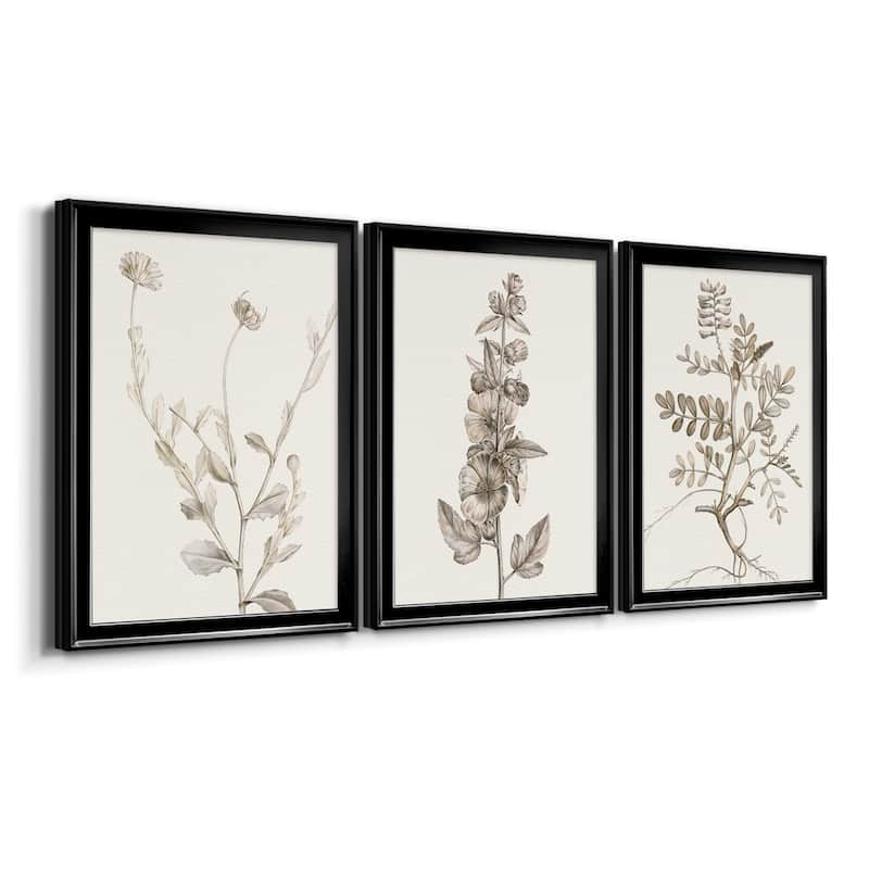 Neutral Botanical Study IV Premium Framed Canvas - Ready to Hang - Multi-Color