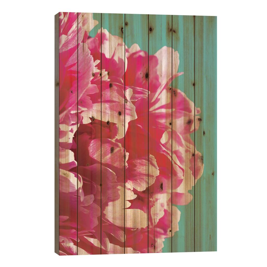 Pink Peony Print On Wood by Lexie Greer - Multi-Color