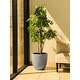 preview thumbnail 56 of 59, Kante 18 Inch Dia Round Concrete Planter, Indoor Outdoor Large Plant Pot