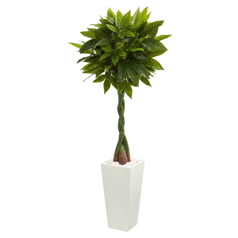 5.5ft Money Artificial Tree in White Tower Planter with Real Touch Green Leaves and Braided Trunk for Office Decor