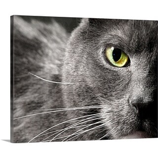 Shop A Very Close Image Of A Gray Cat S Face Showing Only One