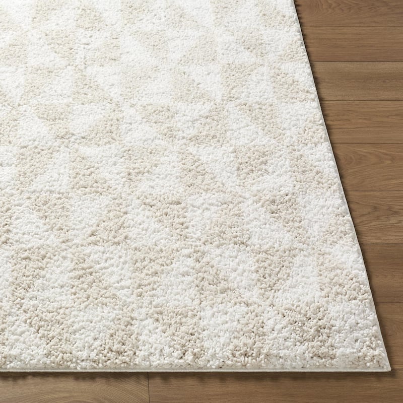 Livabliss Sacramento Shag Modern & Contemporary Area Rug