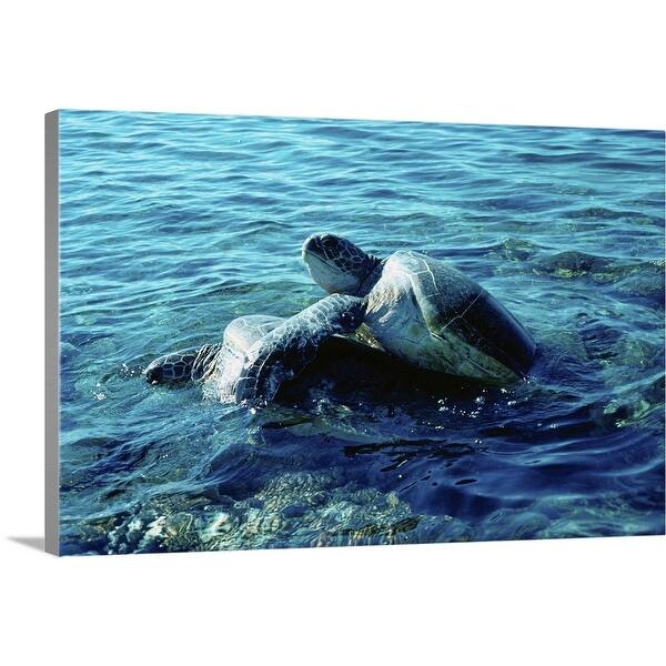 Sea Turtles Australia Canvas Wall Art Overstock 21003461