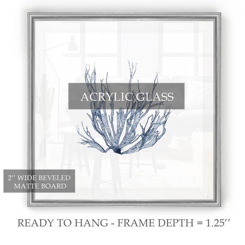Navy Seaweed IV -Black Framed Print