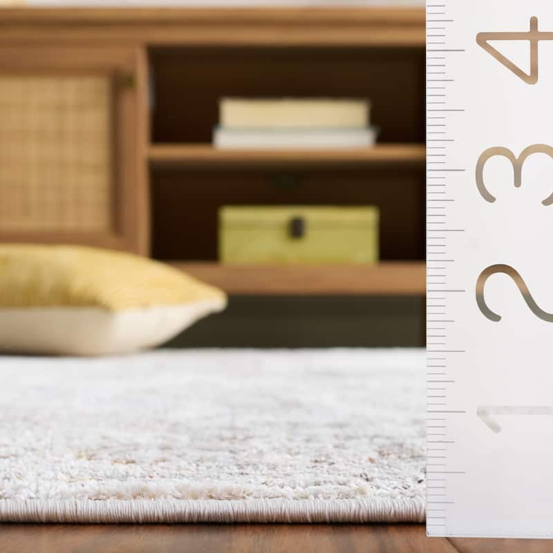 SAFAVIEH Garnet Eleuteria Vintage Distressed Rug