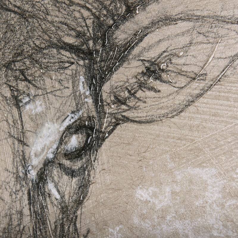Sketch of Animal I (Wild Sheep) (40 x 30) Canvas Art Print