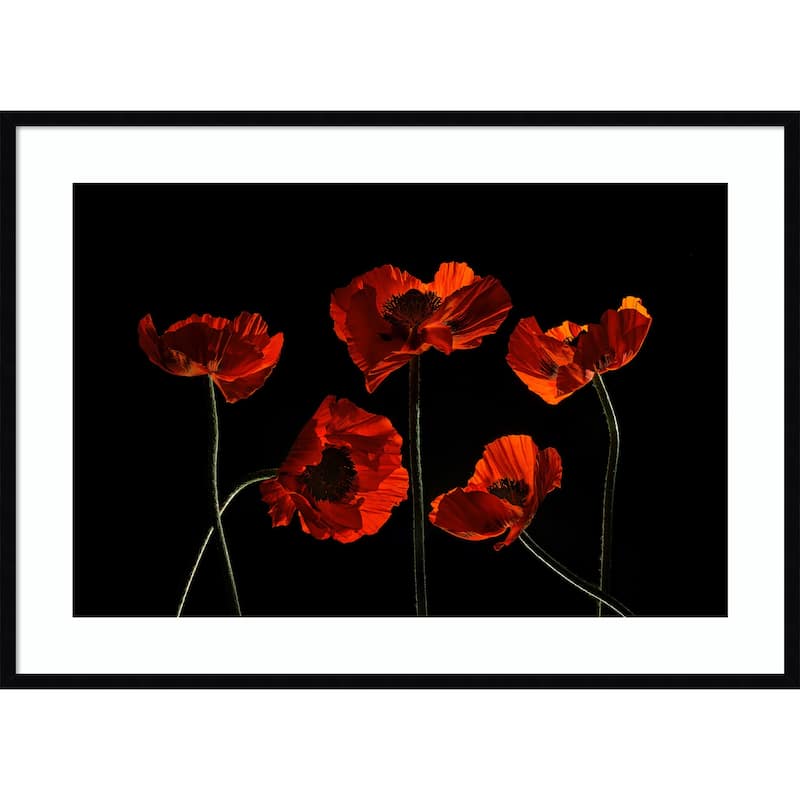Five Red Poppies by Lydia Jacobs Wood Framed Wall Art Print