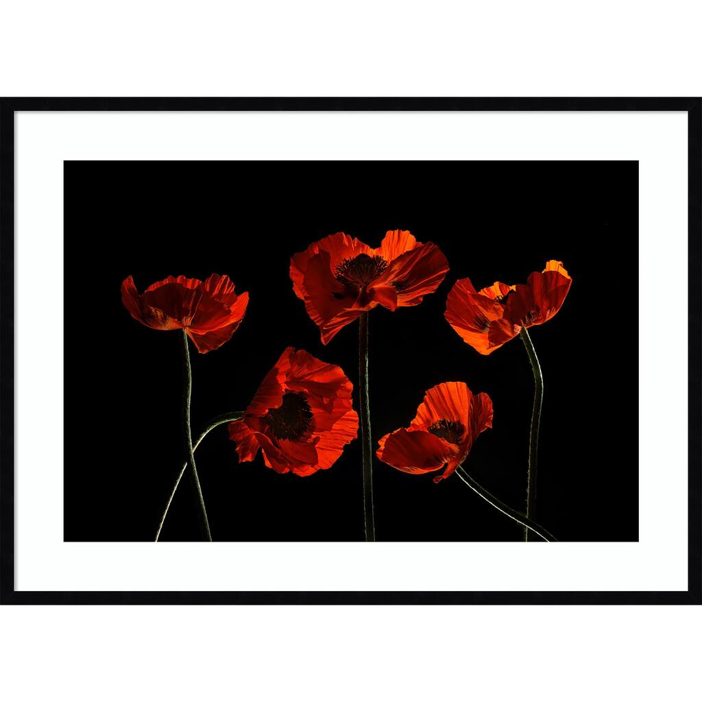 Five Red Poppies by Lydia Jacobs Wood Framed Wall Art Print