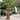 Antoni Sandstone Finish Outdoor Floor Fountain - 26" x 45"