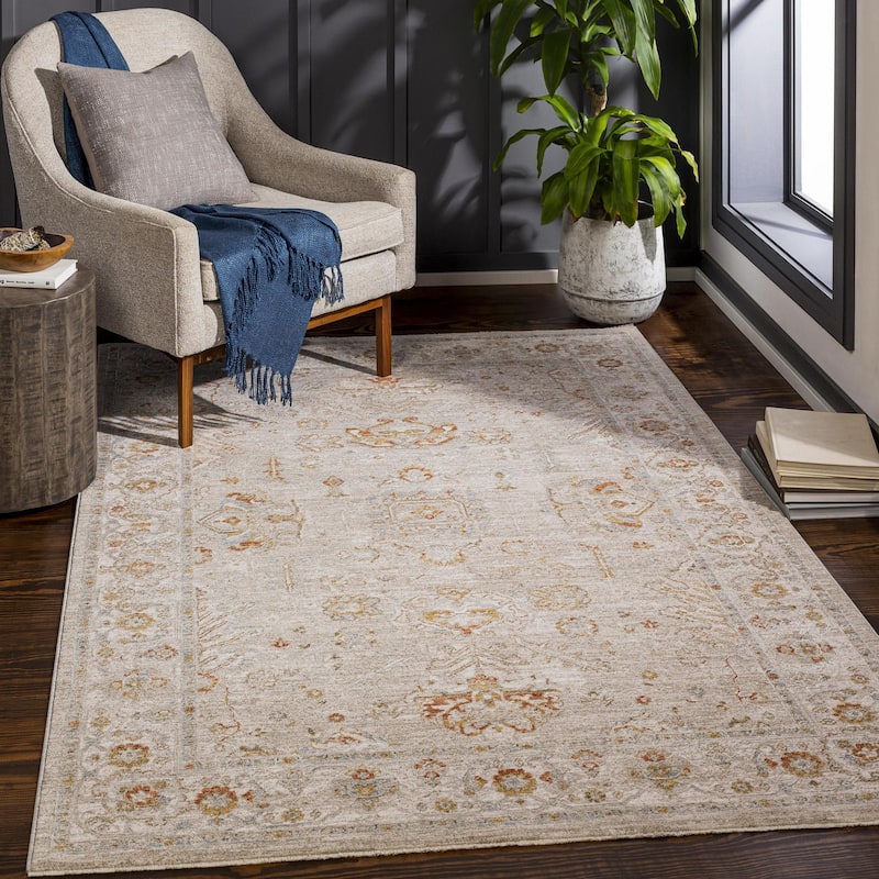 Livabliss Avant Garde Traditional Area Rug - 2' x 2' 11" - Light Grey - Rectangle
