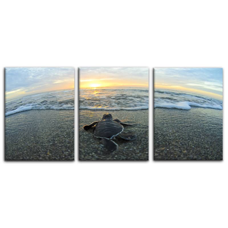 Ready2HangArt 'Turtle' 3-Piece Wrapped Canvas Wall Art Set