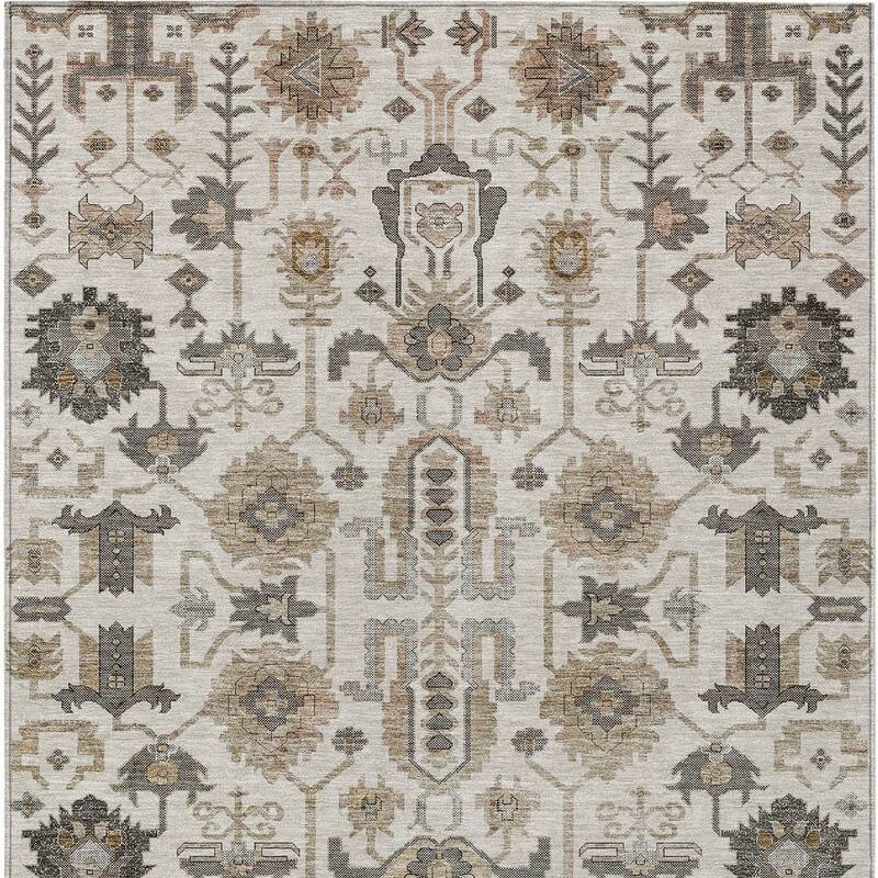 HomeRoots Oriental Traditional Rectangle Outdoor Rug