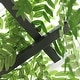 preview thumbnail 8 of 8, Outsunny 82” Decorative Metal Garden Trellis Arch with Durable Steel Tubing & Elegant Scrollwork, Perfect for Weddings