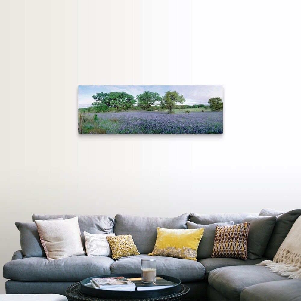 Shop Field Of Bluebonnet Flowers Texas Canvas Wall Art Overstock 31193950